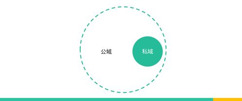 案例讲解 用户社群的品牌化与ip化运营实践