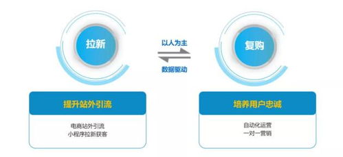 悠易互通带你揭秘新锐品牌逆势增长的奥秘