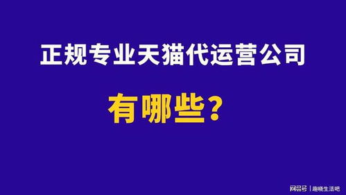 正规专业天猫代运营公司有哪些